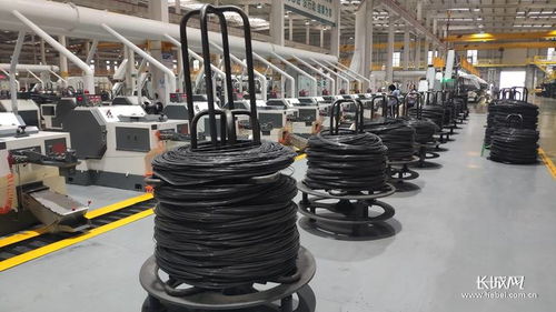 河北加快推進縣域特色產業(yè)提質升級 以螺栓產業(yè)為例，提升四個能力優(yōu)化產業(yè)生態(tài)